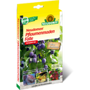 Neudorff Neudomon Plum Fruit Moth Trap - 1 Piece