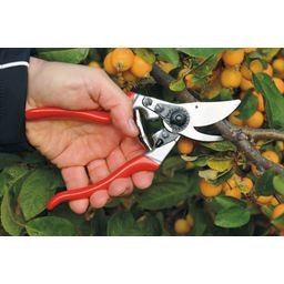 Lefthanded Orchard & Garden Pruners Felco 9 - 1 item