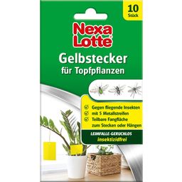 NexaLotte Gelbstecker