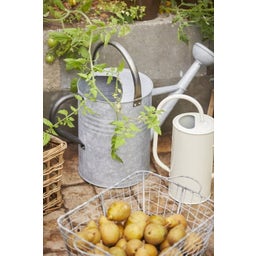 IB Laursen Watering Can with Shower Head 11 L - Zinc / Black