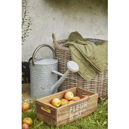 IB Laursen Watering Can with Shower Head 11 L - Zinc / Black