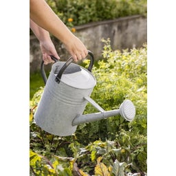 IB Laursen Watering Can with Shower Head 11 L - Zinc / Black