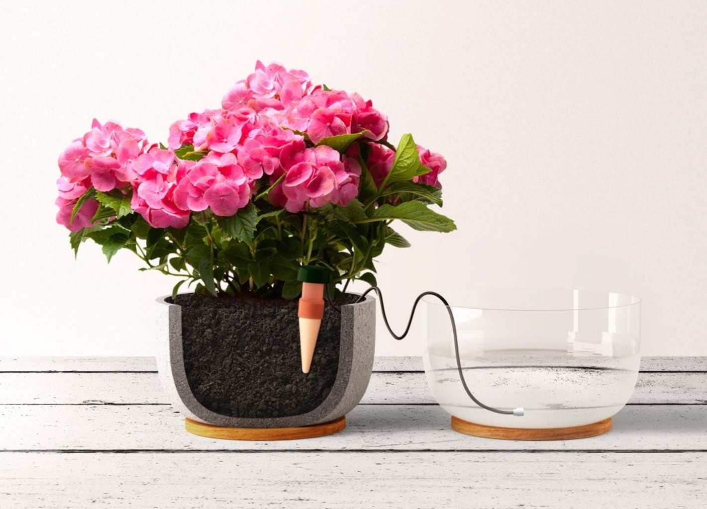 Blumat Classic - Pour Plantes d'Intérieur | Pack - 3 pièces