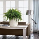 Lechuza CLASSICO Color 35 Planter - White