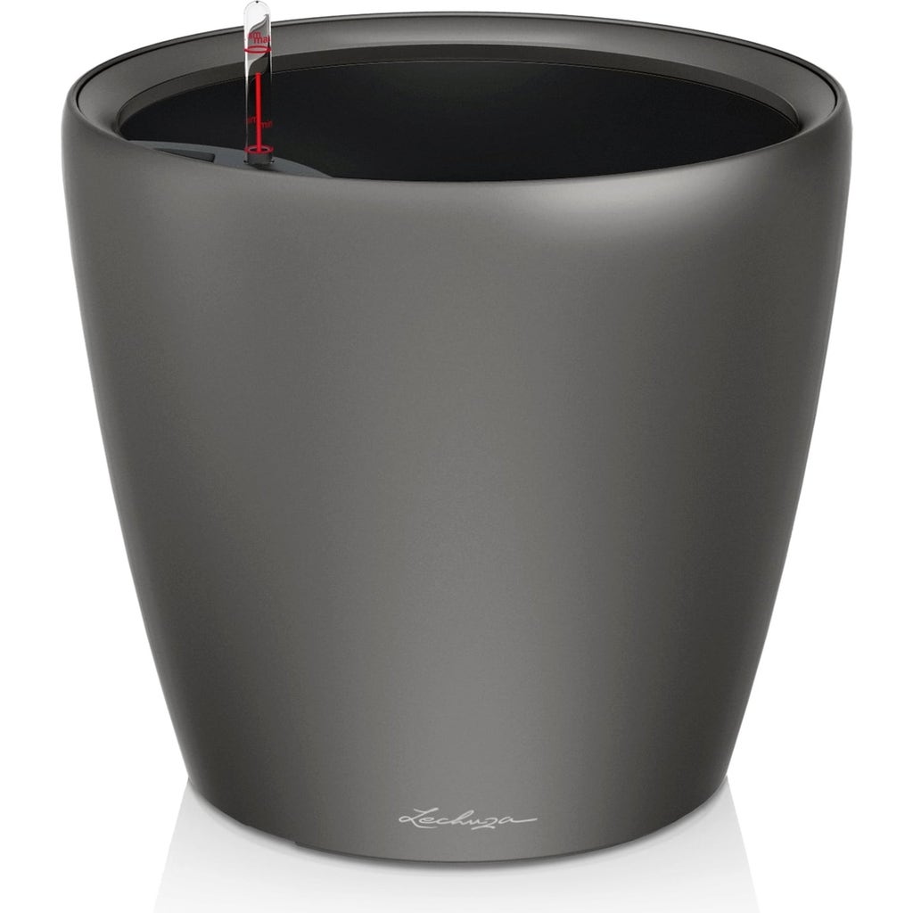 アンズコーポレーション　セルキュール　ラージサイズ Lechuza CLASSICO Premium 21 LS Planter - Bloomling International