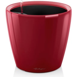 Lechuza Classico Premium 43 LS Planter - Scarlet red high gloss