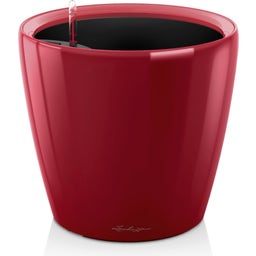 Lechuza Vaso - CLASSICO Premium 50 LS - rosso scarlatto lucido 