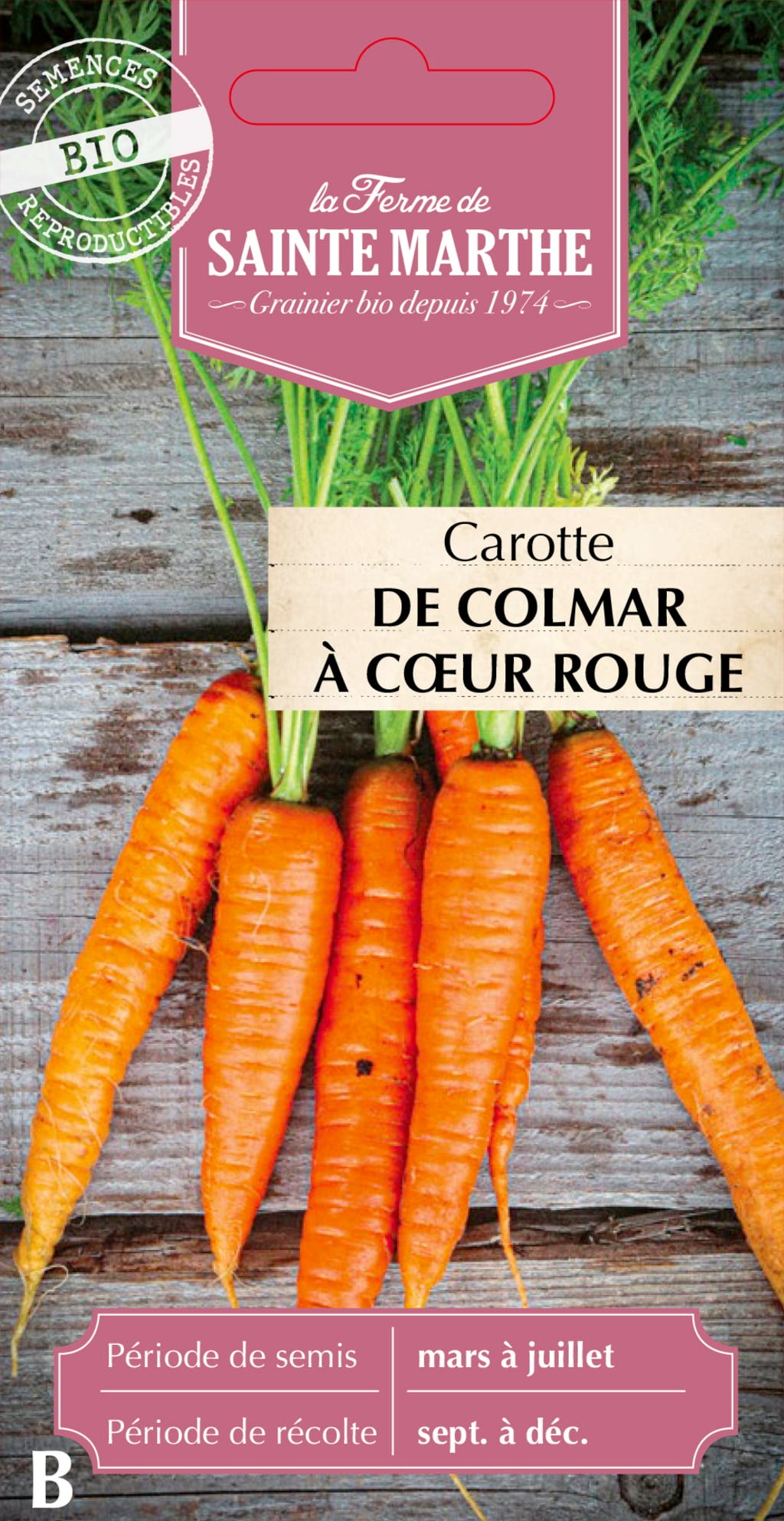 Carrot 