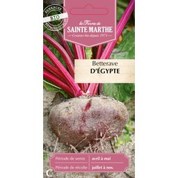 La Ferme de Sainte Marthe Rüben 