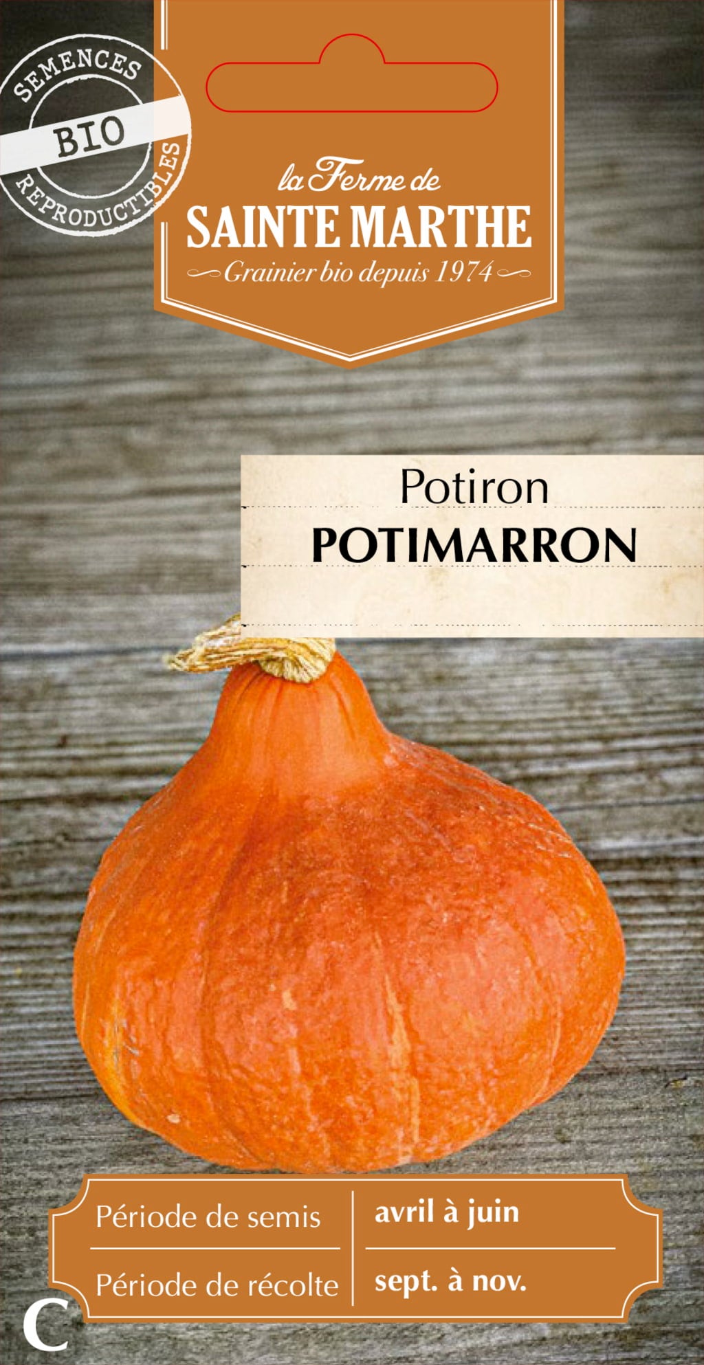 Pumpkin 