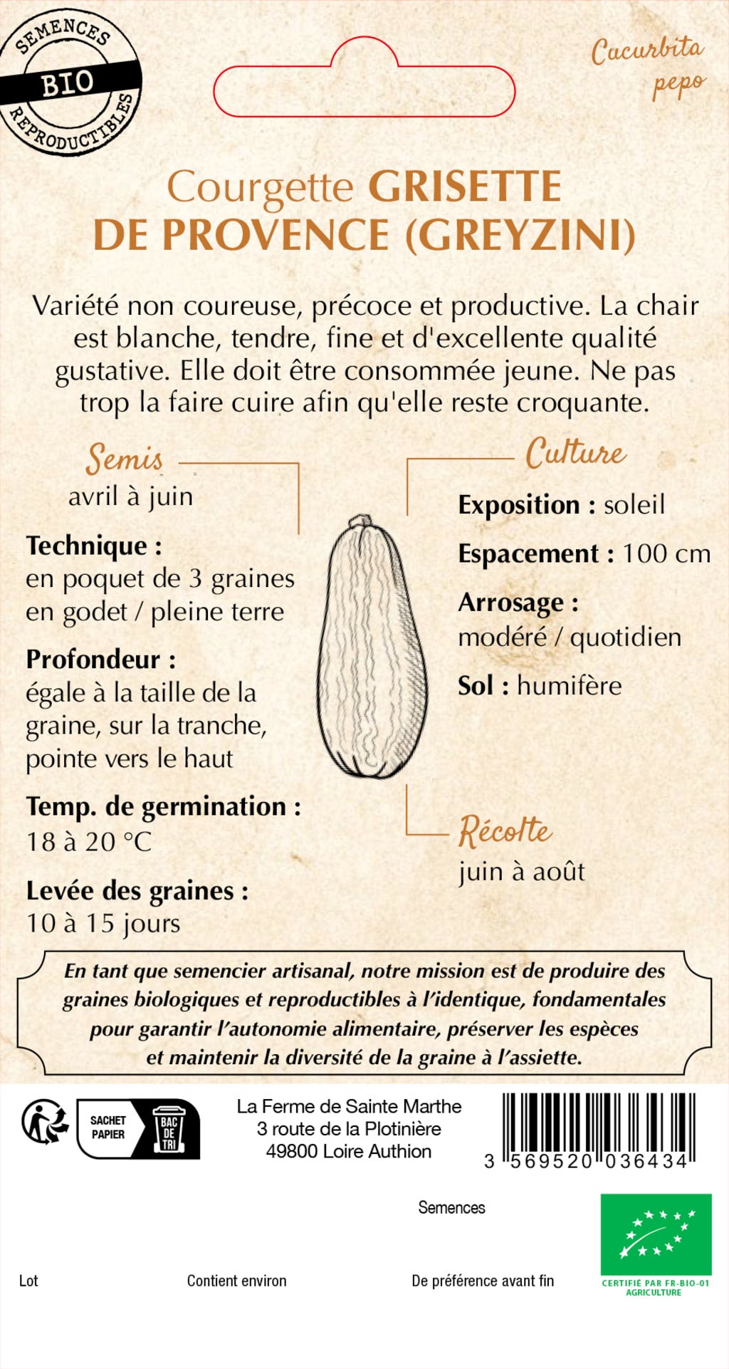 Courgette 