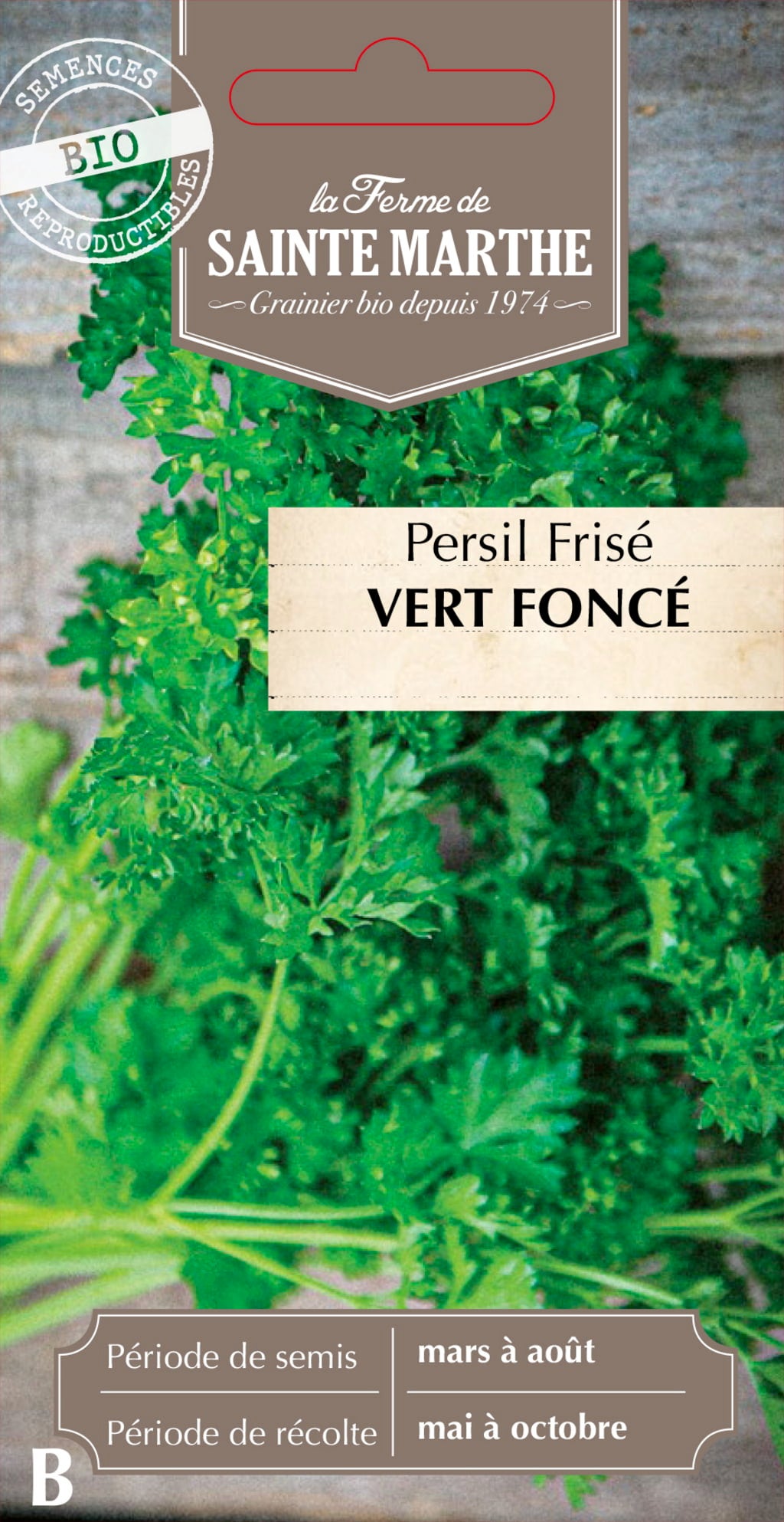 Garden Parsley 