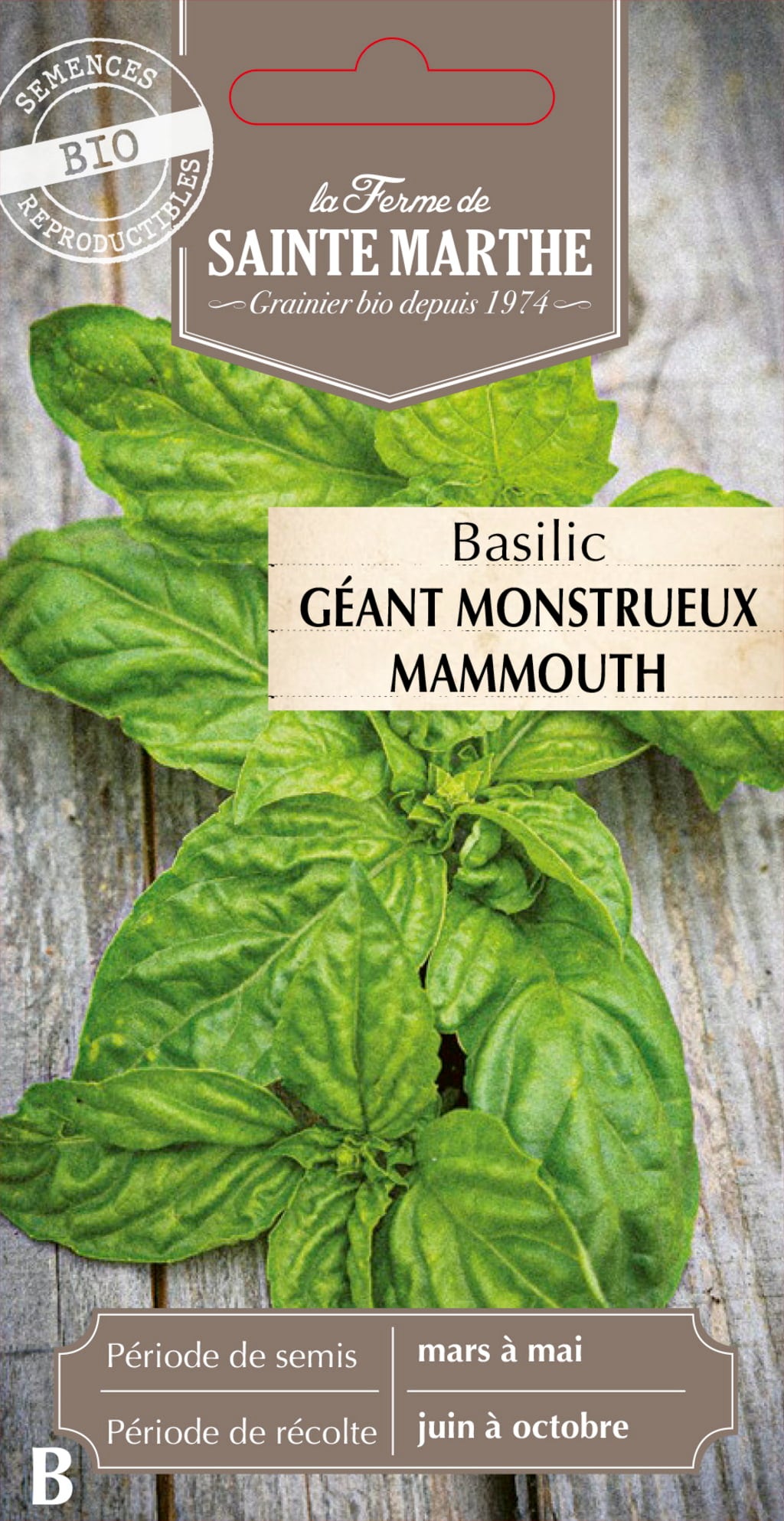 La Ferme de Sainte Marthe Basil "Géant Monstrueux Mammouth"