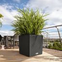 Lechuza CUBE Cottage 30 Planter - Granite