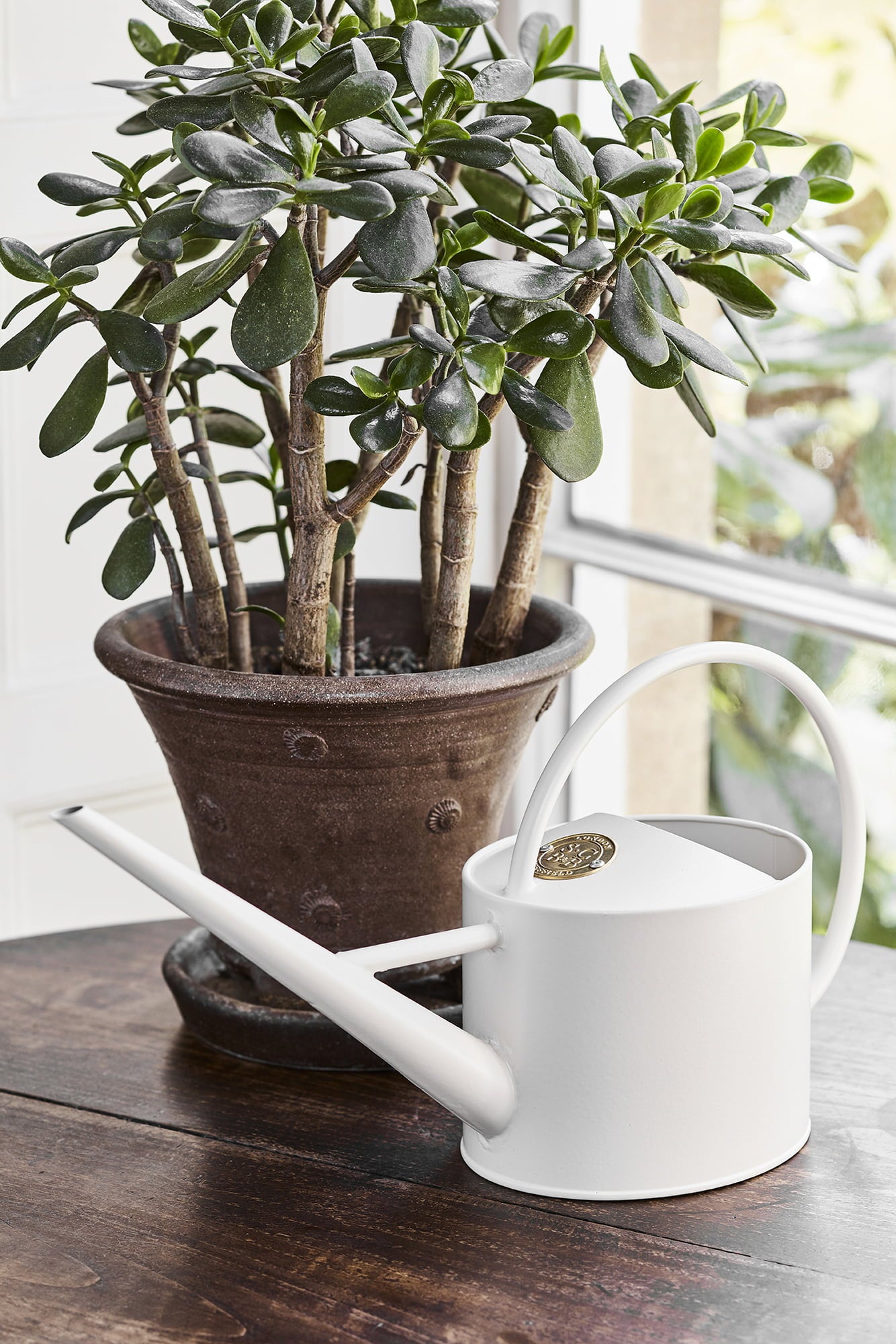 Burgon & Ball Sophie Conran – Inomhuskanna - 1 st.