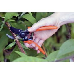 Burgon & Ball Mikro záhradné nožnice - terakota