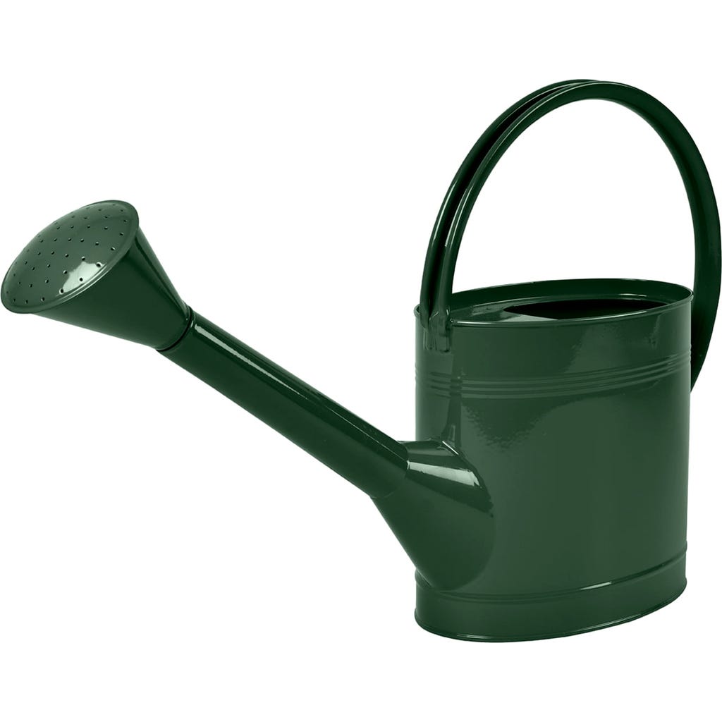 Annaffiatoio 5 Litri Annaffiatoio 5L Verde 2 In 1 Per Piante