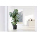 Ecopots Venice 2, temno-siva