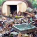 Wildlife World Hedgehog Water Bowl