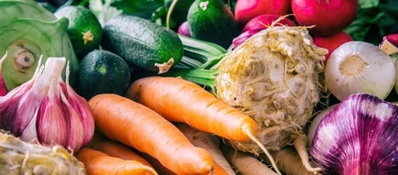 Dessa växter trivs bäst bredvid varandra