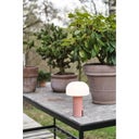 Villa Collection STYLES LED Lamp - Pink