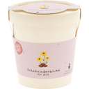 Petits Mots - Pot 