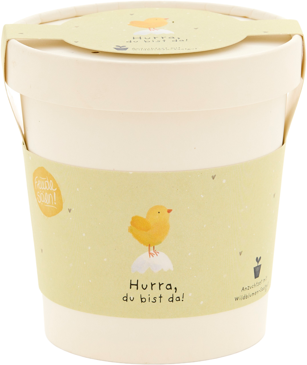 Die Stadtgärtner Komplimente-Becher "Hurra, du bist da"