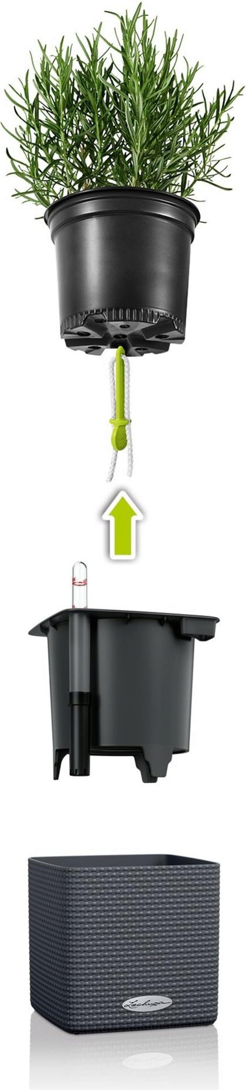 Lechuza Planter Cube Color 14