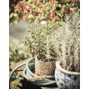 Livlig Design Gartenschlauch 50m - Grün