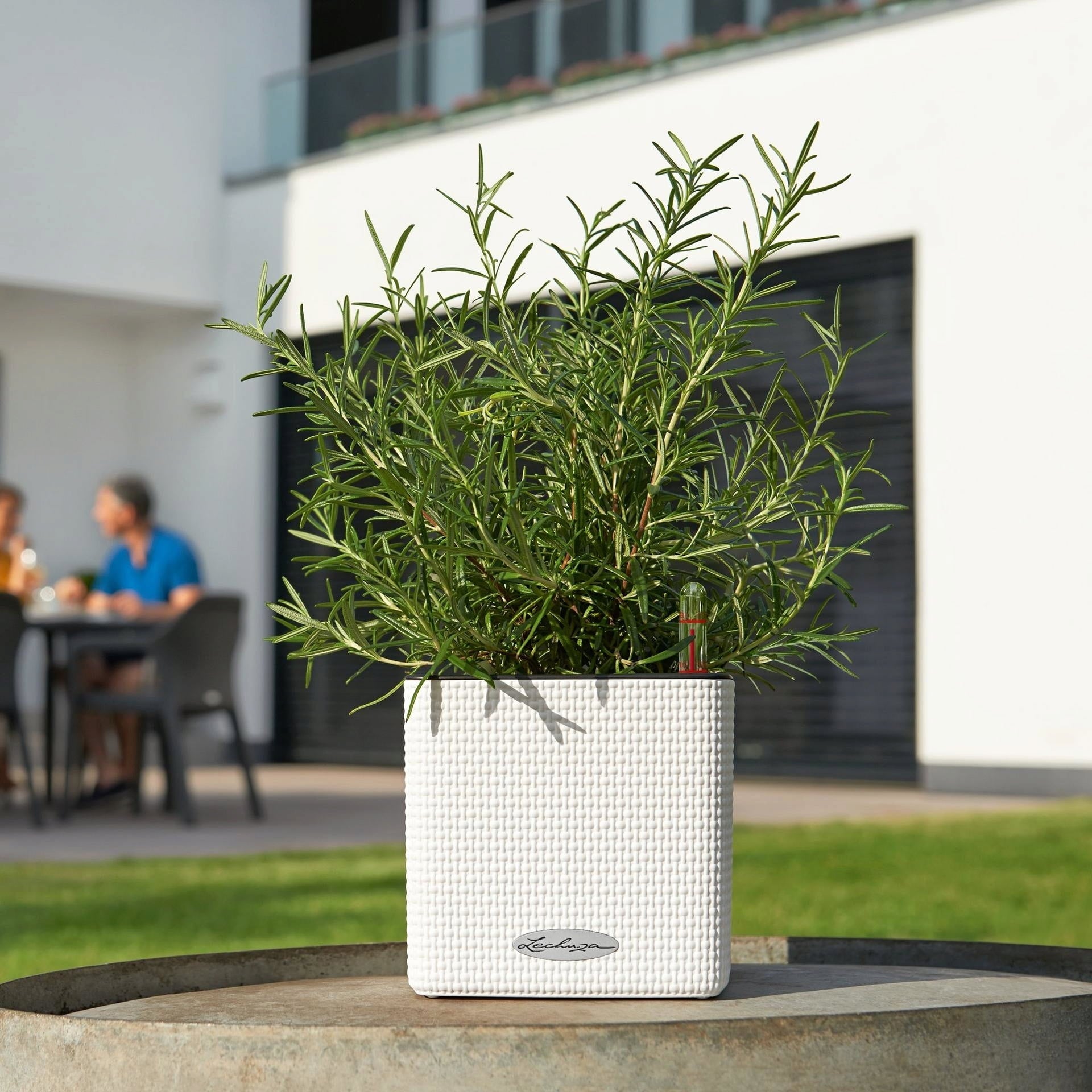 Lechuza Planter Cube Color 14