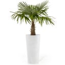 Ecopots Amsterdam Blomkruka Mid High 66 - Pure White
