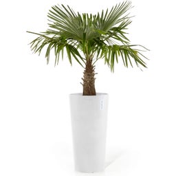 Ecopots Amsterdam Blomkruka Mid High 66 - Pure White