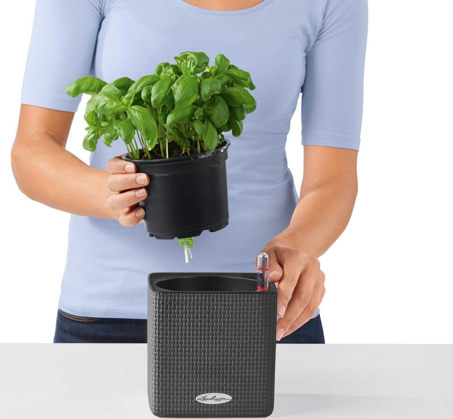 Lechuza Planter Cube Color 14