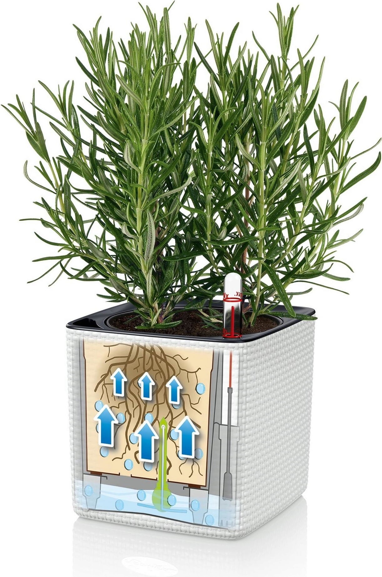 Lechuza Planter Cube Color 14