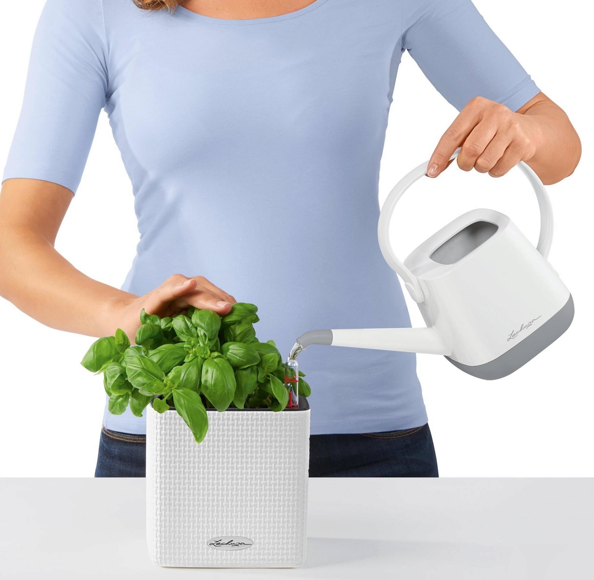 Lechuza Planter Cube Color 14