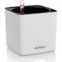 Lechuza Planter Cube Color 14 - White