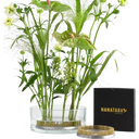 Hanataba Kenzan Ring - Flower Frog - 