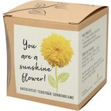 Set di Coltivazione "You are a Sunshine Flower"
