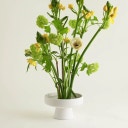 Hanataba Ikebana Schaal - Wit