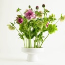 Hanataba Ikebana Schaal - Wit