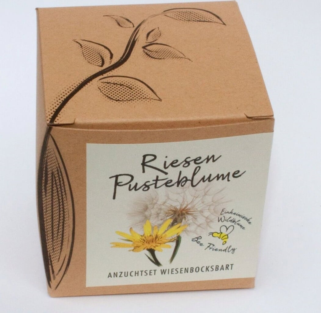 Naturkraftwerk Growing Set - Giant Meadow Salsify - 1 item