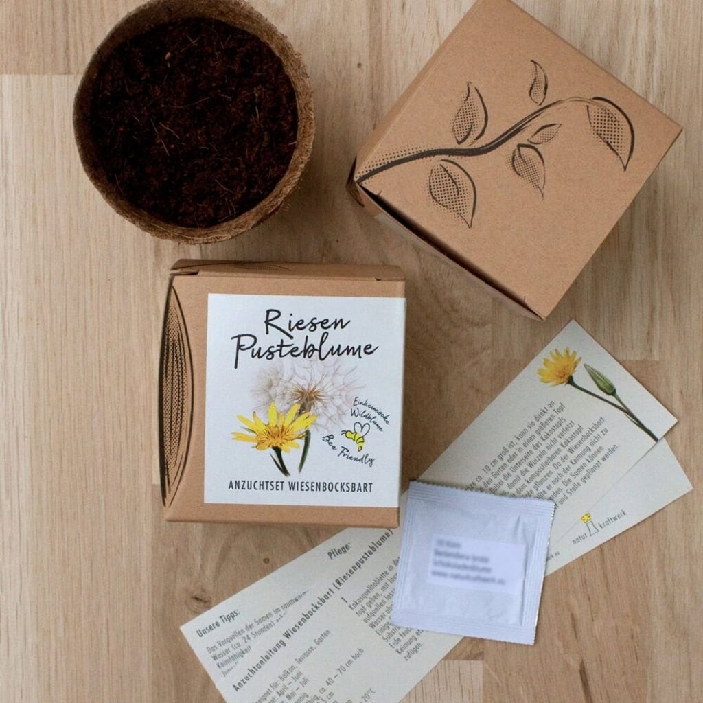 Naturkraftwerk Growing Set - Giant Meadow Salsify - 1 item