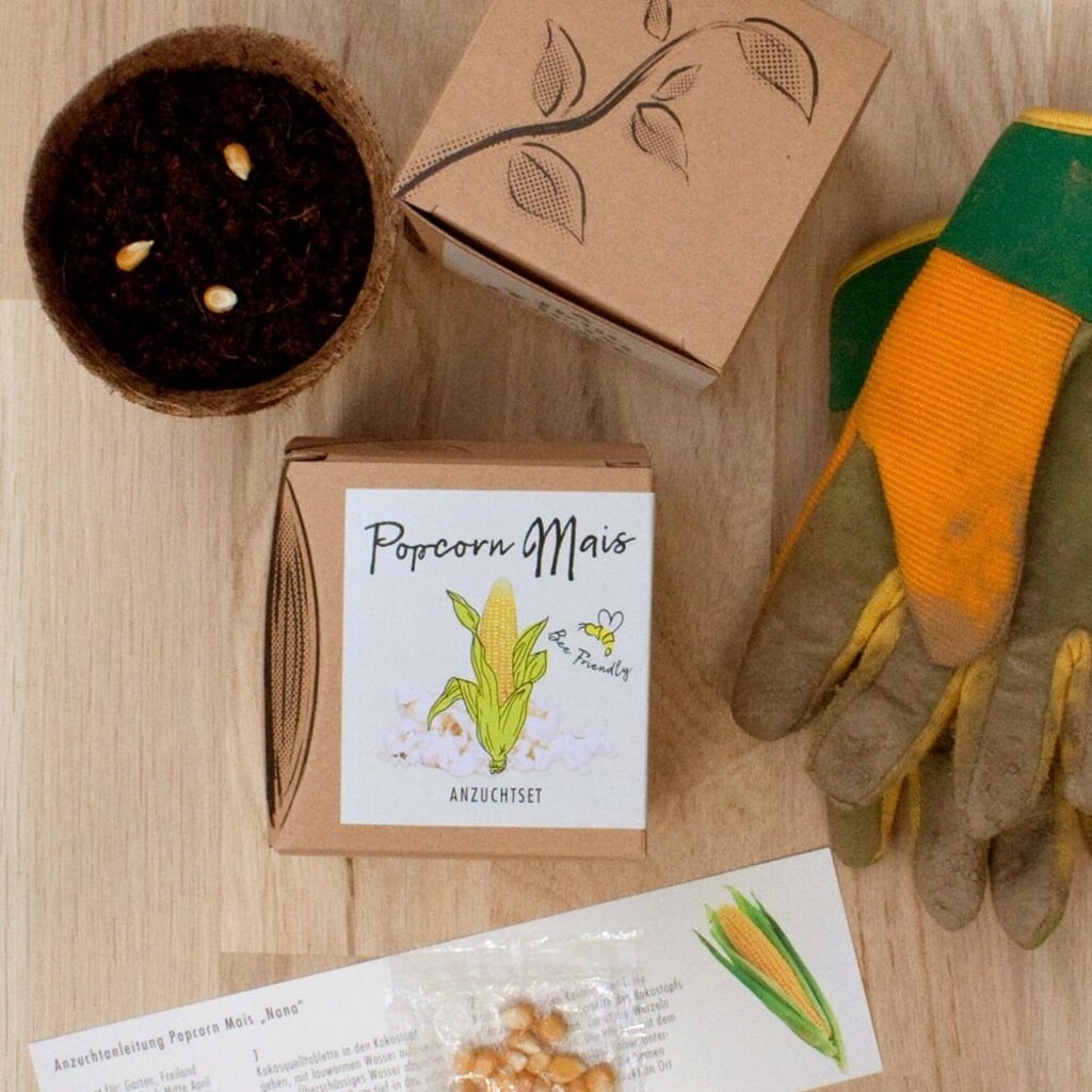 Naturkraftwerk Popcorn - Growing Set - 1 item