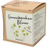 Set di Coltivazione "Gummibärchenblume" - Cephalophora Aromatica