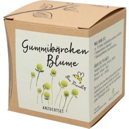 naturkraftwerk Anzuchtset "Gummibärchenblume"