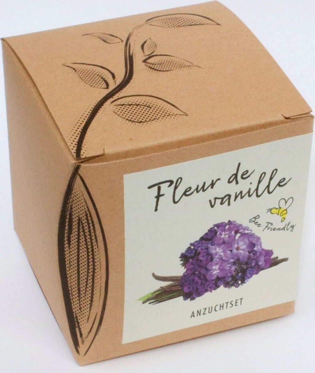 naturkraftwerk Set za gojenje Fleur de vanille - 1 k.