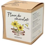 naturkraftwerk Set di Coltivazione Fleur de Chocolat