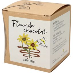 naturkraftwerk Anzuchtset "Fleur de chocolat"