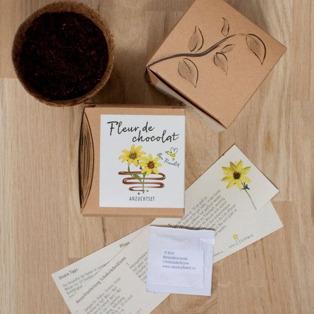 Naturkraftwerk Fleur de Chocolat - Growing Set - 1 item