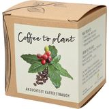 Anzuchtset "Coffee to plant" - Kaffeestrauch